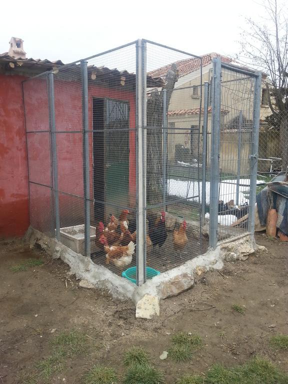 El Refugio del Dragón Arcones Exterior foto
